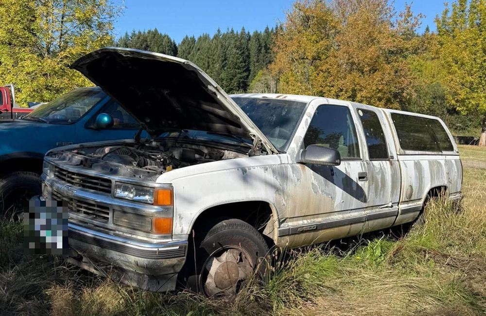 Weathered white Chevy pickup with the hood up in tall grass
